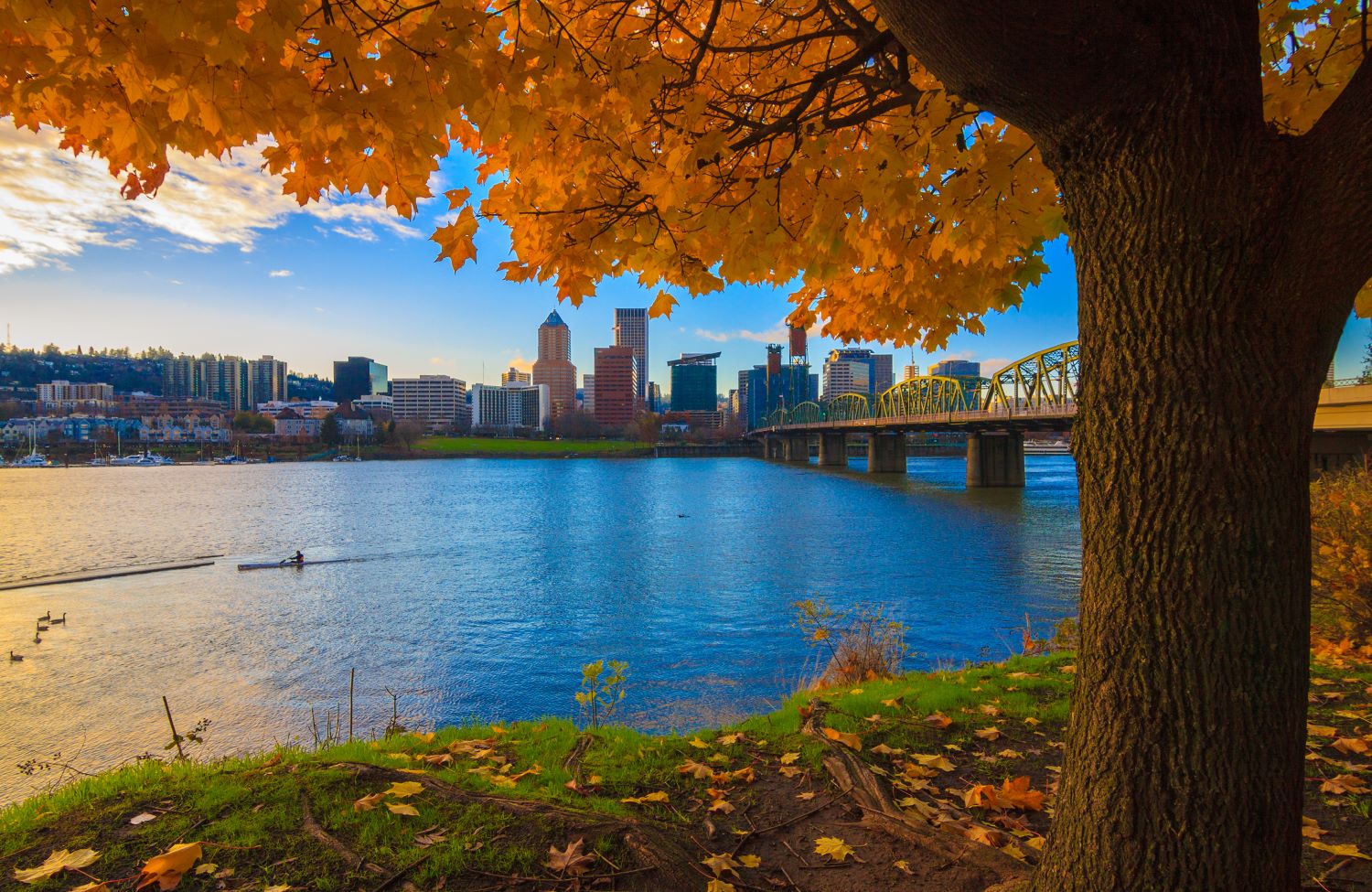 Portland Orshutterstock 267494780 Smaller